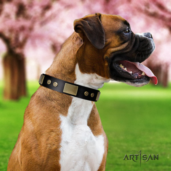 Boxer unique full grain natural leather collar with rust resistant fittings