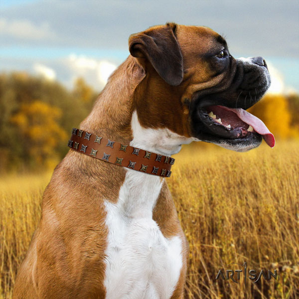 Boxer studded natural genuine leather dog collar for handy use