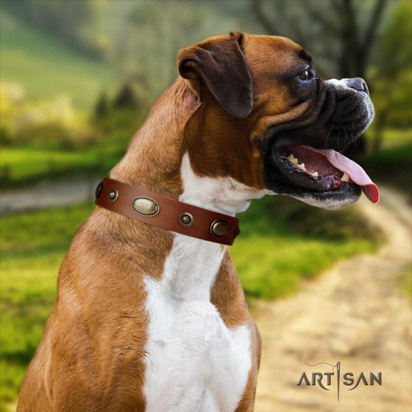 Boxer handcrafted natural leather collar with rust resistant fittings