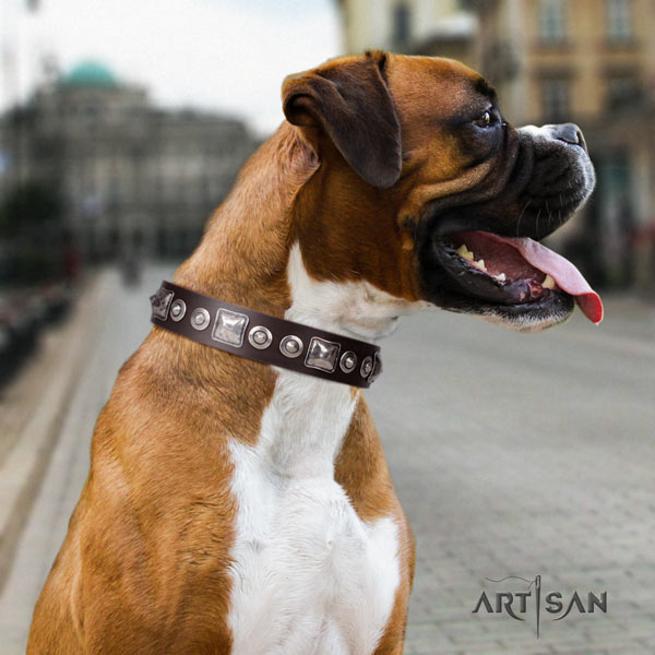 Boxer studded full grain genuine leather collar with rust resistant traditional buckle