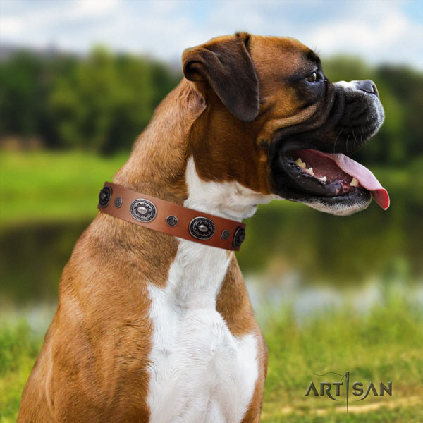 Boxer significant full grain leather collar with corrosion proof buckle