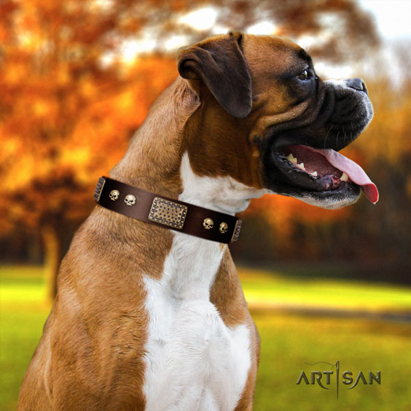 Boxer awesome full grain leather collar with corrosion proof d-ring