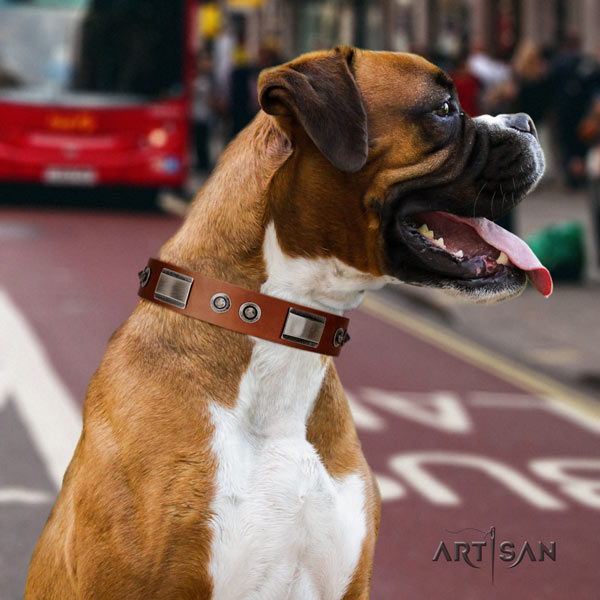 Boxer natural genuine leather collar with rust resistant fittings
