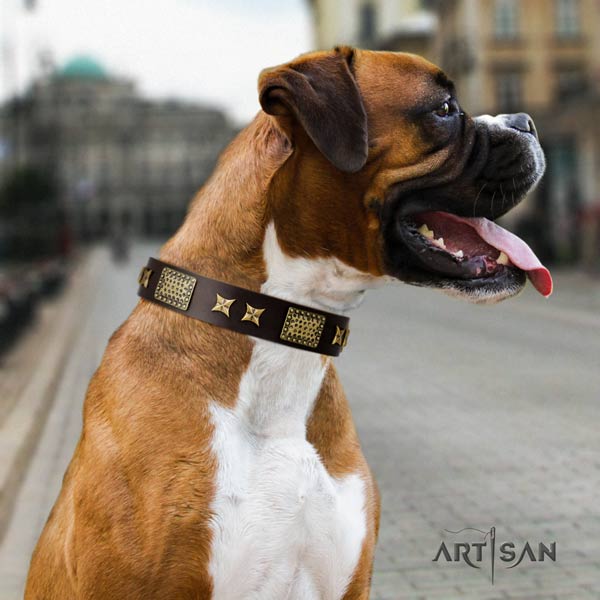 Boxer incredible leather collar with rust-proof d-ring