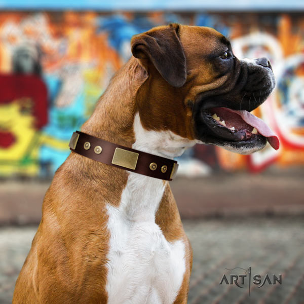 Boxer handmade full grain leather collar with rust resistant traditional buckle