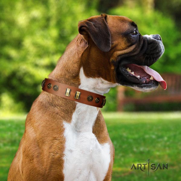 Boxer handcrafted leather collar with rust resistant fittings