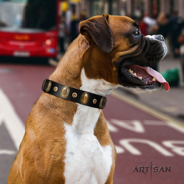 Boxer trendy full grain genuine leather dog collar for fancy walking