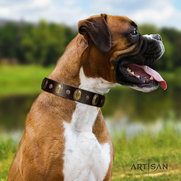Boxer convenient genuine leather dog collar for everyday walking