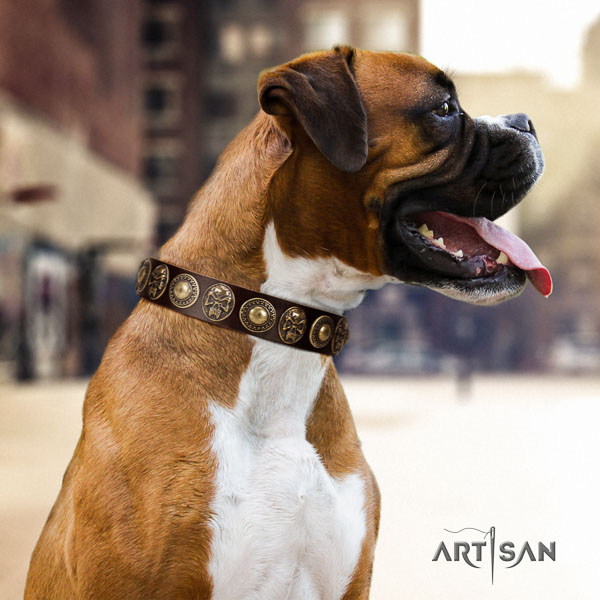 Boxer perfect fit genuine leather dog collar for comfortable wearing