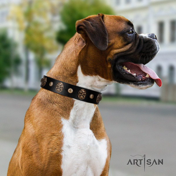 Boxer awesome full grain natural leather dog collar for handy use