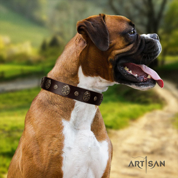 Boxer easy adjustable full grain natural leather dog collar for daily use