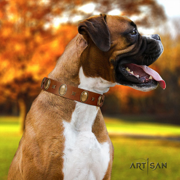 Boxer best quality genuine leather dog collar for comfy wearing