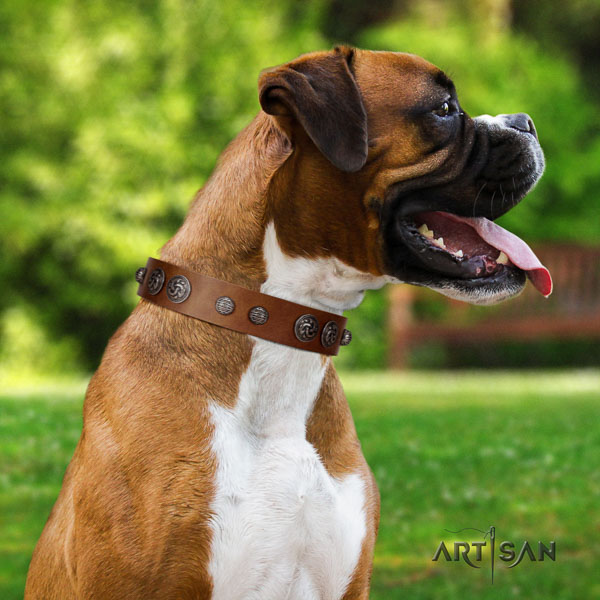 Boxer exceptional full grain genuine leather dog collar for handy use