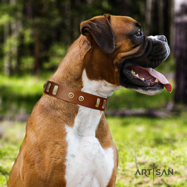 Boxer unique natural genuine leather dog collar for handy use