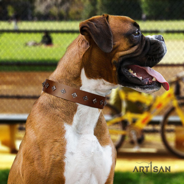 Boxer natural genuine leather collar with corrosion resistant D-ring for stylish walking