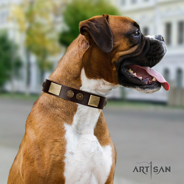 Boxer fine quality full grain natural leather dog collar for basic training