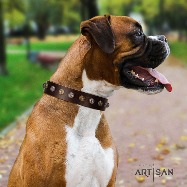 Boxer trendy full grain natural leather dog collar for comfy wearing