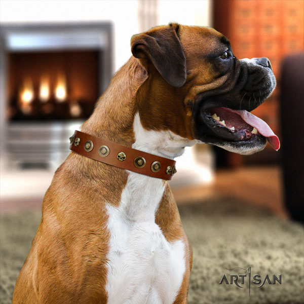 Boxer handmade full grain leather dog collar for everyday walking