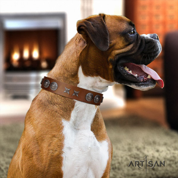 Boxer full grain natural leather collar with corrosion resistant fittings for daily use