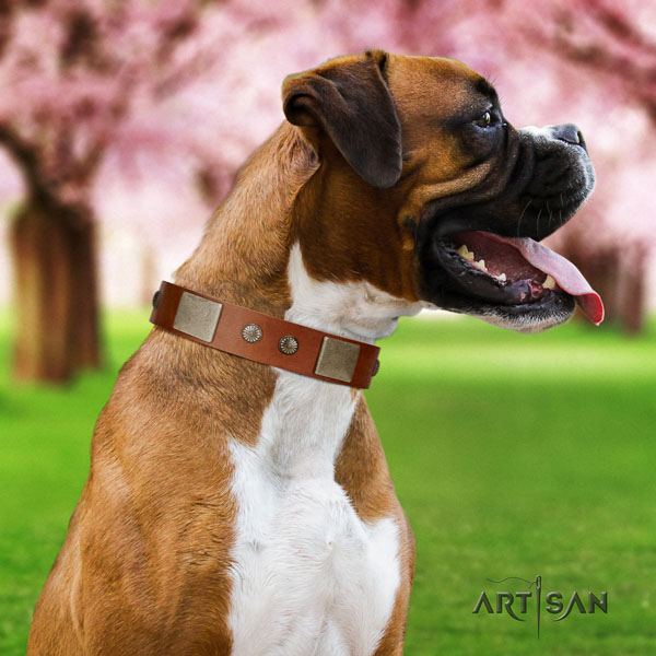 Boxer comfortable full grain leather dog collar for everyday walking