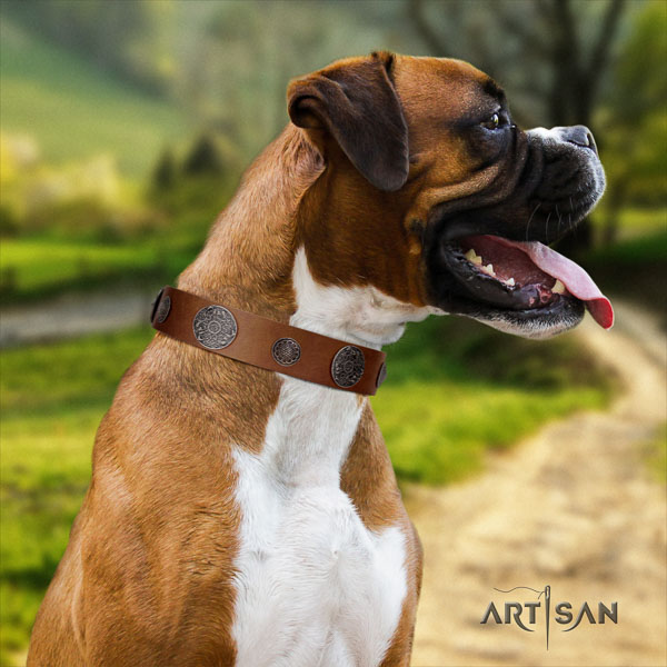 Boxer stunning full grain genuine leather dog collar for basic training