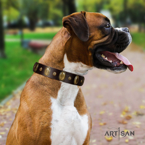 Boxer stylish natural genuine leather dog collar for basic training