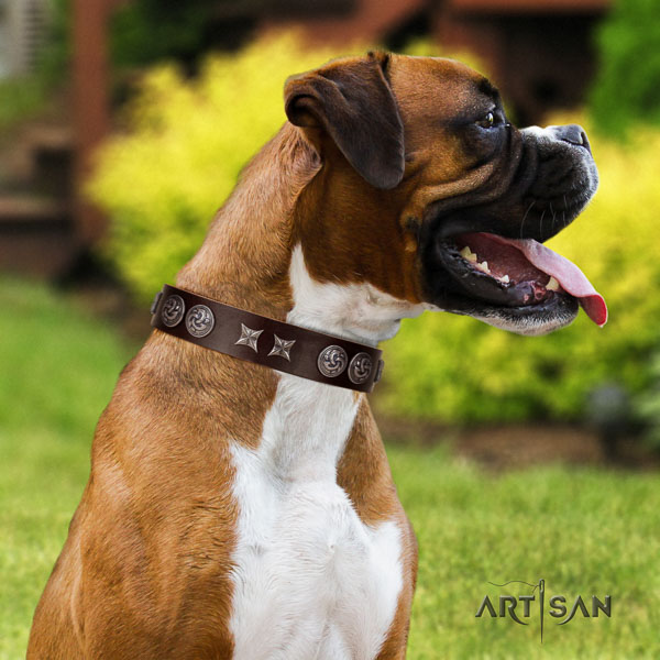 Boxer genuine leather collar with reliable hardware for comfortable wearing