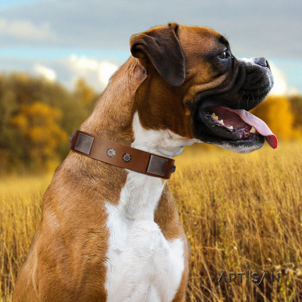 Boxer handcrafted genuine leather dog collar for fancy walking