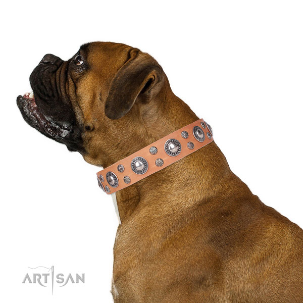 Boxer significant leather dog collar for fancy walking