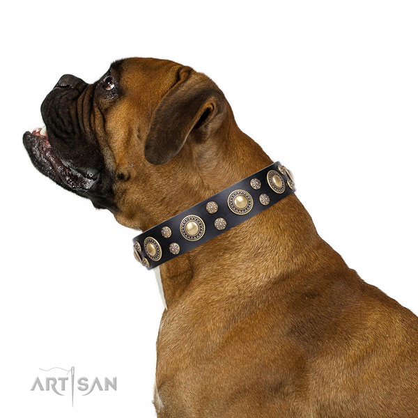 Boxer easy adjustable full grain genuine leather dog collar for fancy walking