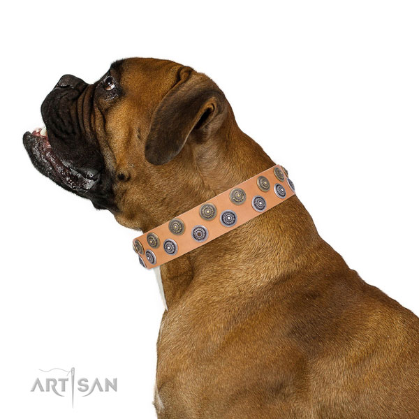 Boxer easy to adjust full grain leather dog collar for everyday use