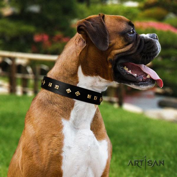 Boxer extraordinary natural leather collar with corrosion proof traditional buckle