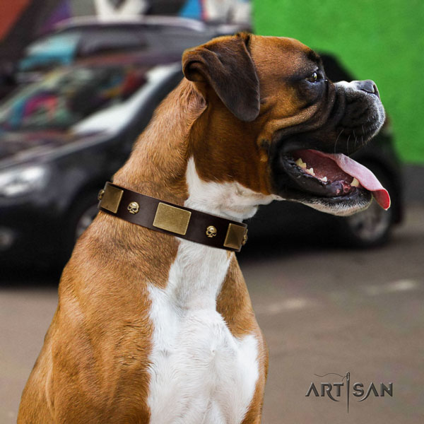 Boxer easy to adjust full grain genuine leather dog collar for daily use