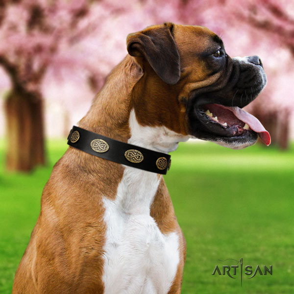 Boxer convenient full grain leather collar with corrosion proof d-ring