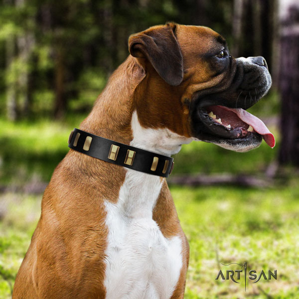 Boxer perfect fit leather dog collar for stylish walking