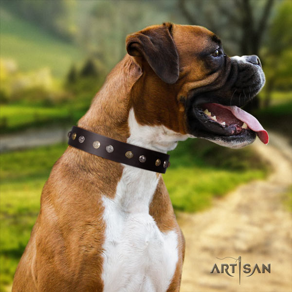 Boxer fashionable genuine leather collar with rust-proof hardware