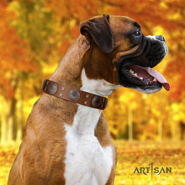 Boxer adjustable natural genuine leather dog collar for daily walking