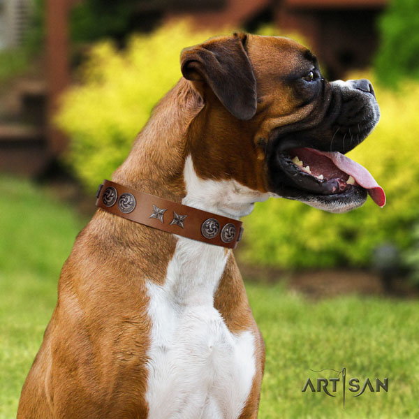 Boxer full grain genuine leather collar with rust-proof fittings for comfortable wearing