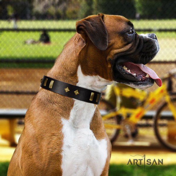 Boxer exquisite full grain natural leather dog collar for handy use