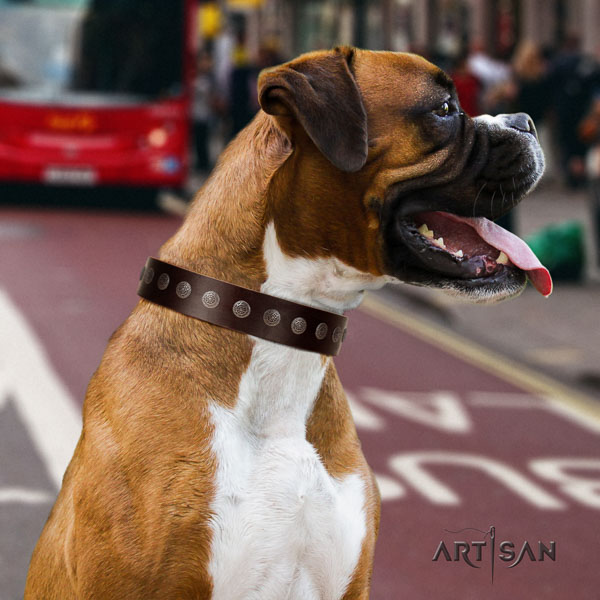 Boxer full grain genuine leather collar with strong fittings for comfy wearing