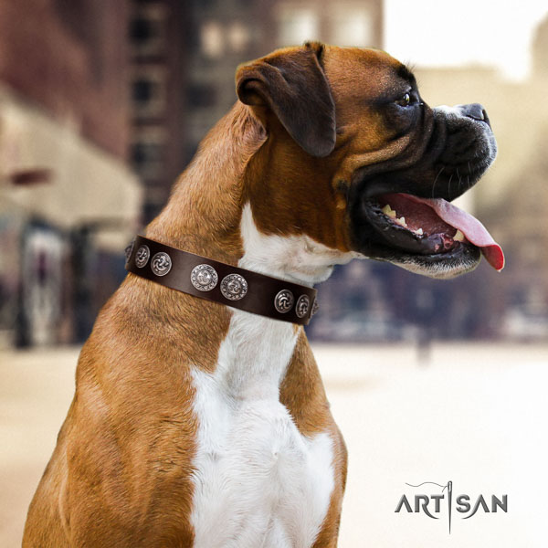Boxer significant full grain genuine leather dog collar for everyday walking