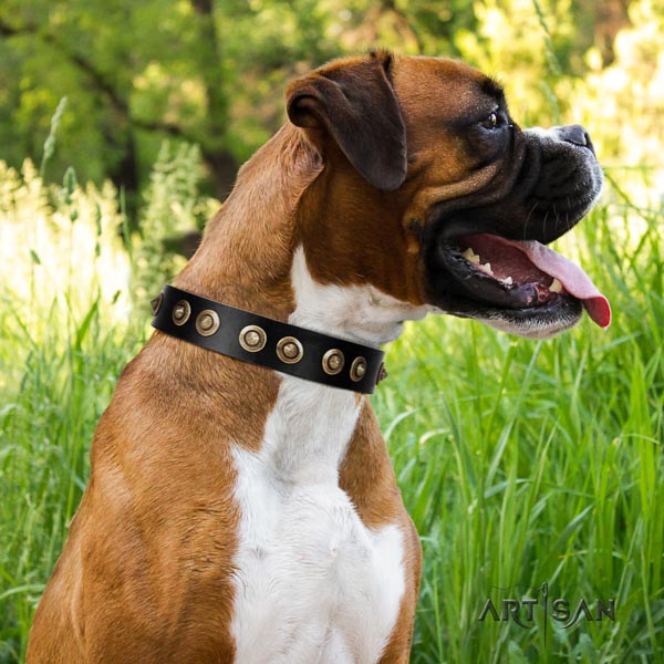 Boxer stylish genuine leather dog collar for daily use