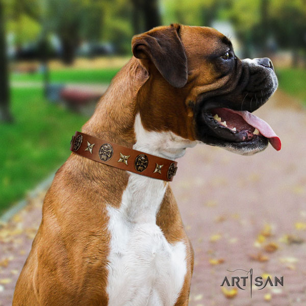 Boxer remarkable natural genuine leather dog collar for comfortable wearing