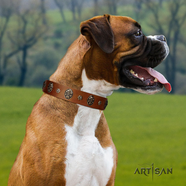 Boxer easy adjustable genuine leather dog collar for daily use