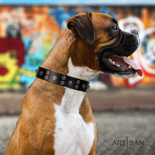 Boxer natural genuine leather collar with rust-proof fittings for easy wearing