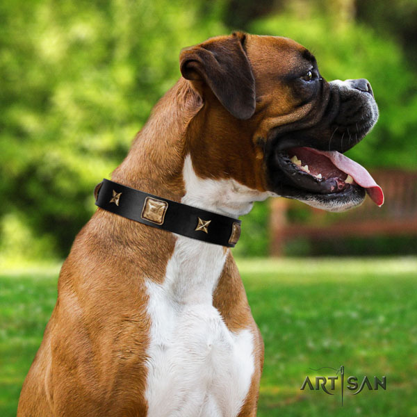 Boxer comfortable full grain genuine leather dog collar for walking