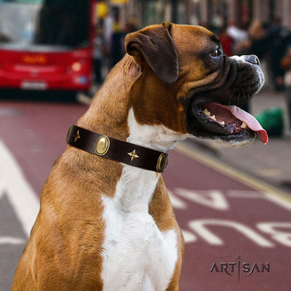 Boxer easy to adjust full grain leather dog collar for everyday use