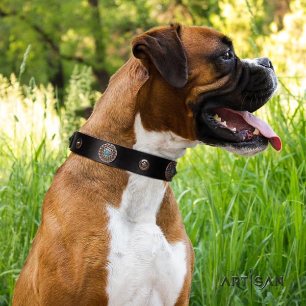 Boxer handcrafted leather dog collar for walking