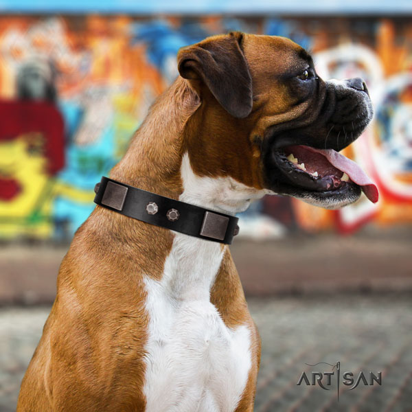 Boxer adjustable full grain leather dog collar for walking