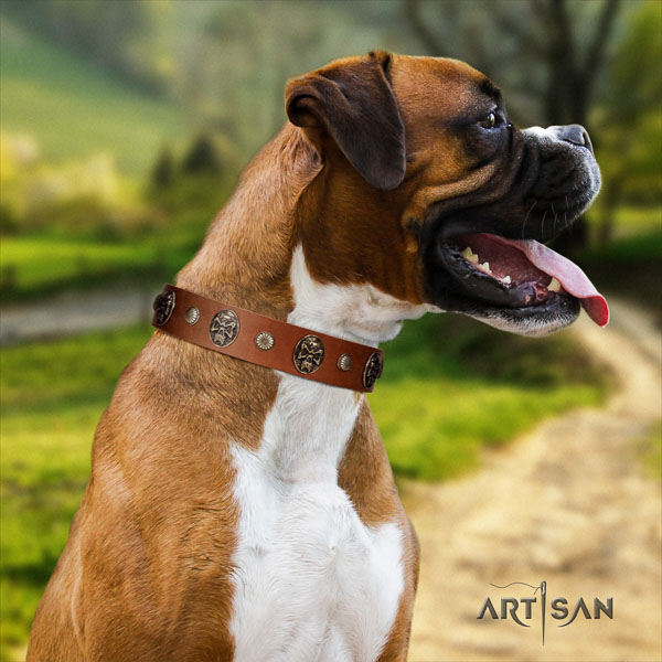 Boxer handmade natural genuine leather dog collar for comfy wearing